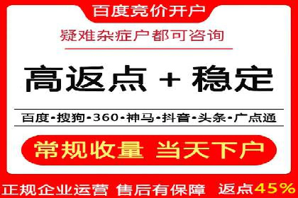 突破关键词竞价排名困境的案例解析